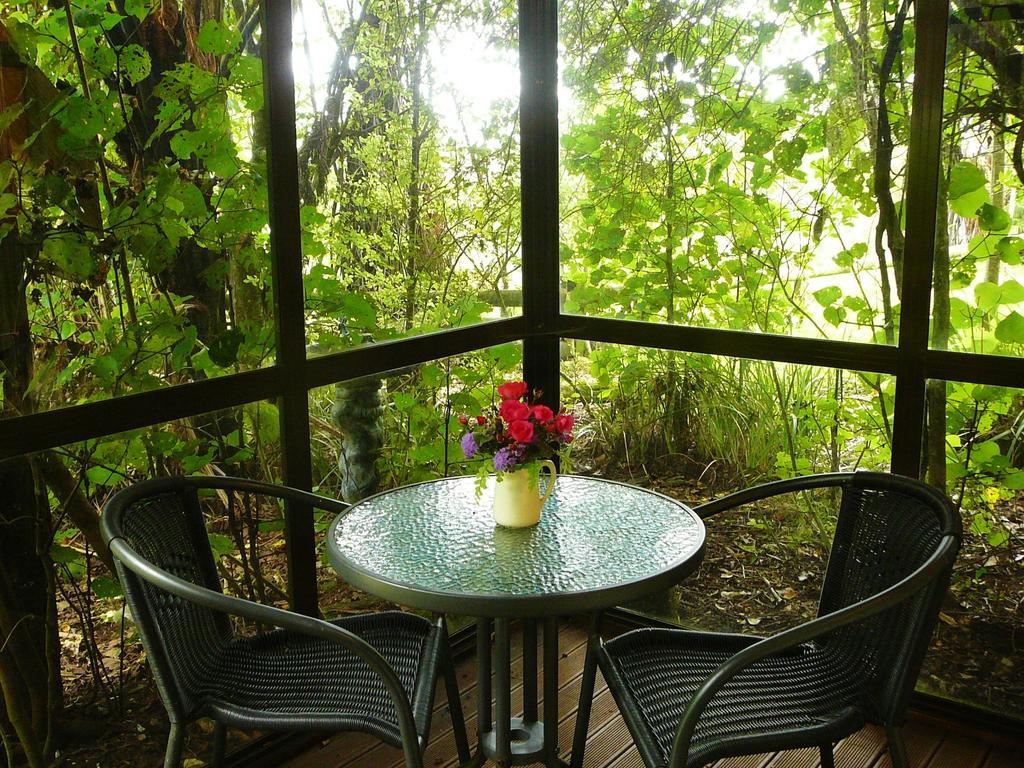 Mount Tutu Eco-Sanctuary Bed & Breakfast Ohauiti Ruang foto